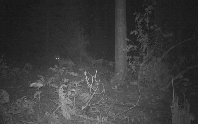 Sunday October 13, 2013