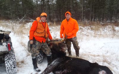 Sunday November 20, 2011