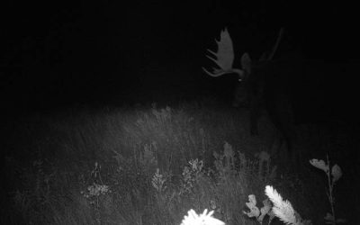 Saturday September 15, 2012