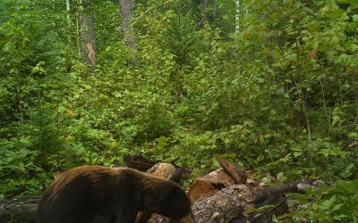 Thursday August 16, 2012