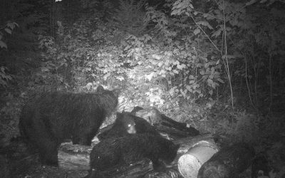 Monday September 2, 2013