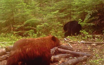 Tuesday, June 15, 2010