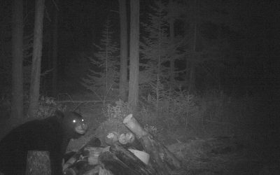 Sunday September 8, 2013