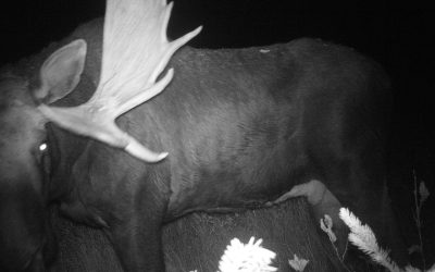 Friday September 28, 2012