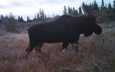 Thursday, September 27, 2012