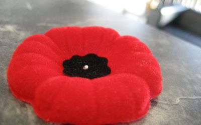 Sunday November 11, 2012