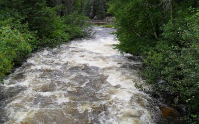 Thursday, July 15, 2010