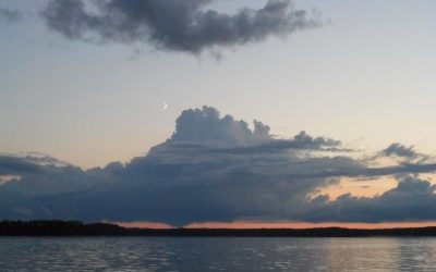 Tuesday, July 20, 2010