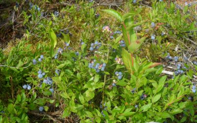 Tuesday, July 27, 2010