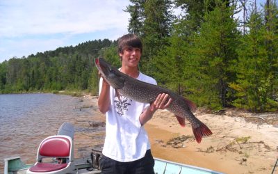 Tuesday, August 3, 2010