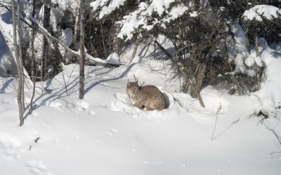 Monday, January 10, 2011