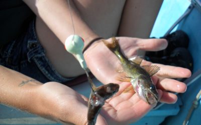 Wednesday, July 6, 2011