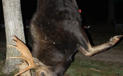 Tuesday September 18, 2012