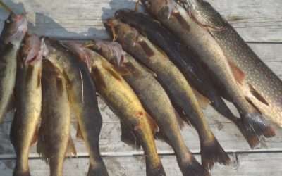 Wednesday August 13, 2014