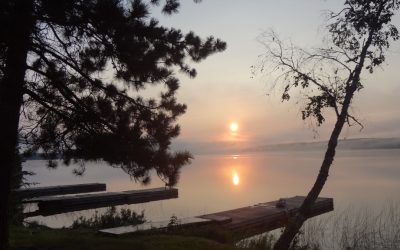 Friday Augsut 15, 2014