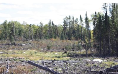 Monday September 24, 2012