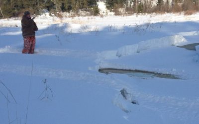 Sunday February 9, 2014