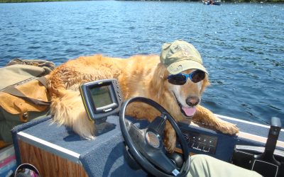 Monday July 23, 2012