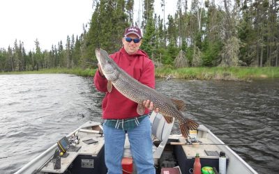 Tuesday, June 8, 2010