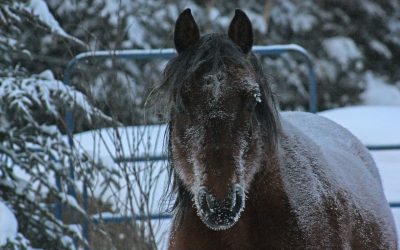 Wednesday January 23, 2013