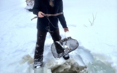 Sunday December 29, 2013