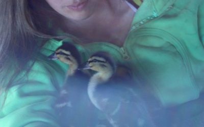 Wednesday May 29, 2013