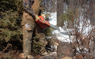 Monday April 22, 2013