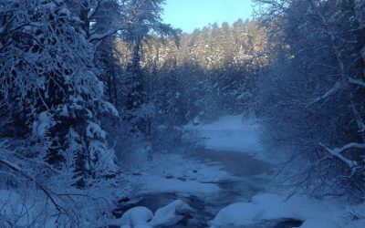 Monday January 13, 2014