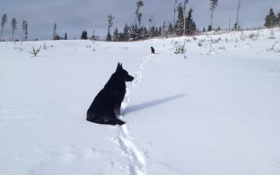 Saturday January 18, 2014