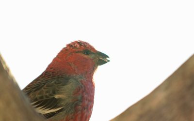 Thursday January 24, 2014