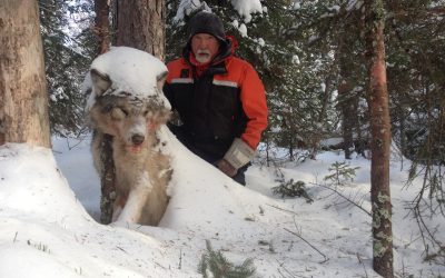 Wednesday January 8, 2014