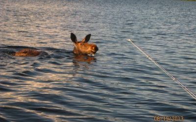 Thursday July 11, 2013