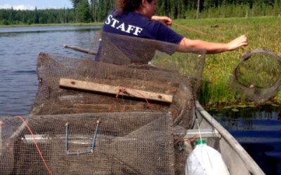 Wednesday July 17, 2013