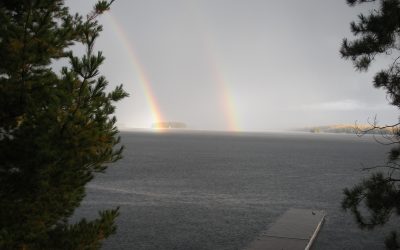 Tuesday, October 12, 2010