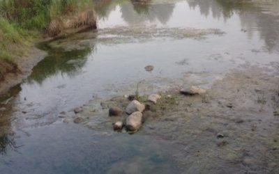 Sunday August 10, 2014