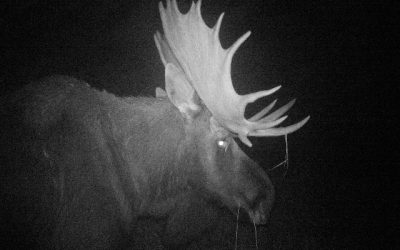 Monday October 3, 2011