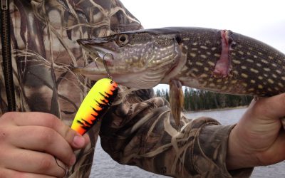 Wednesday, April 25, 2012