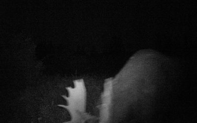 Monday June 30, 2014