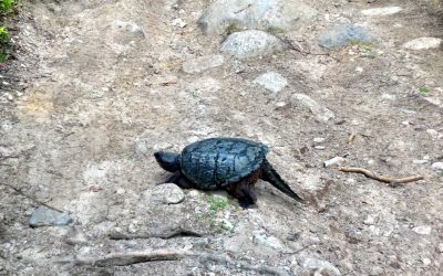 Friday August 23, 2013