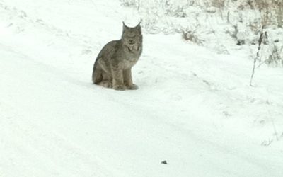 Tuesday December 20, 2011