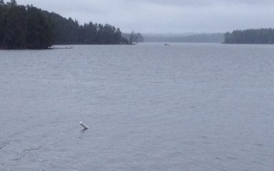 Saturday April 14, 2012