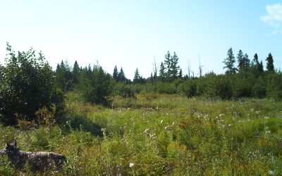 Saturday September 13, 2014