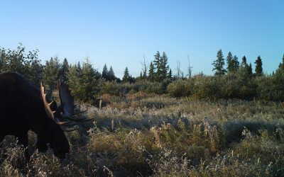 Friday September 23, 2011