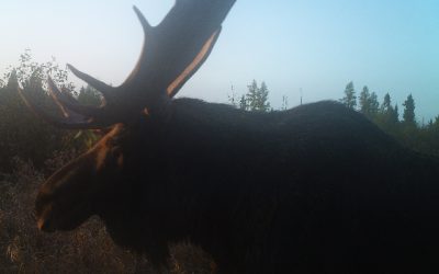 Saturday October 1, 2011