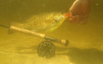 Saturday June 18 2011