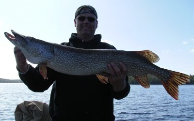 Tuesday October 4, 2011