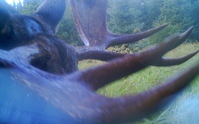 Monday September 16, 2013