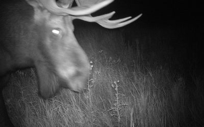 Saturday September 21, 2013