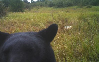 Wednesday September 25, 2013