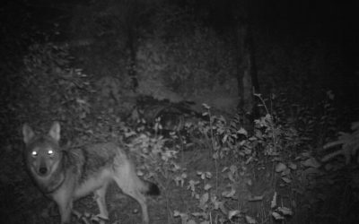 Friday September 27, 2013